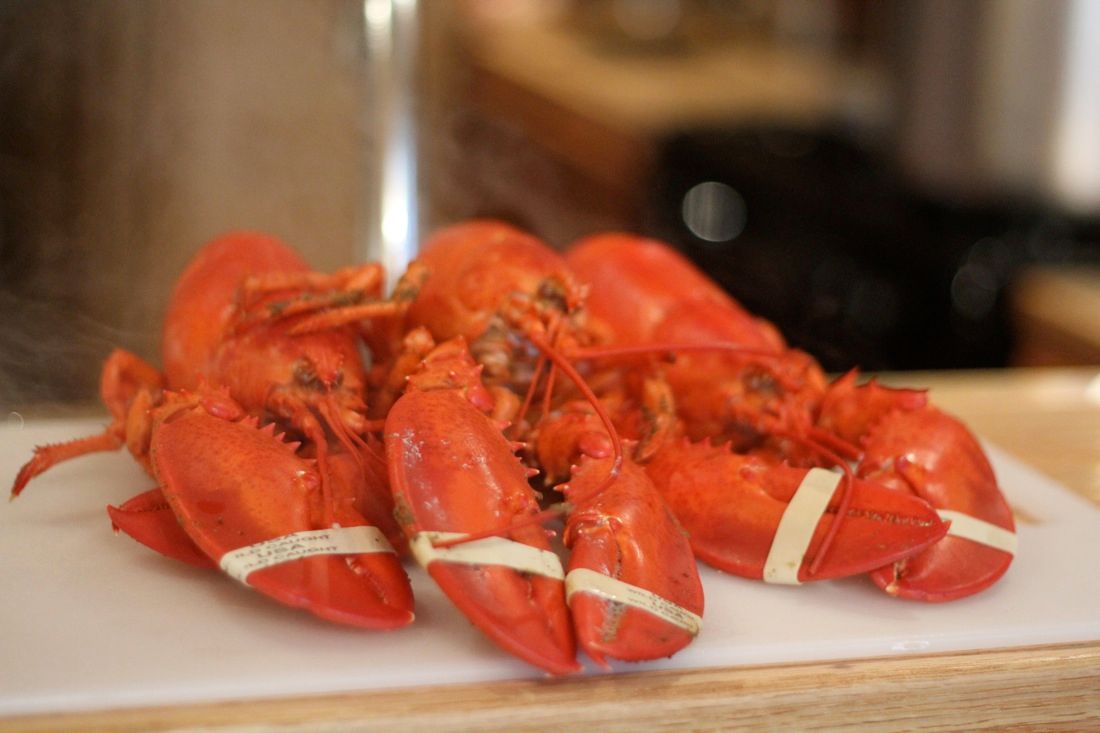 How to Steam Lobster