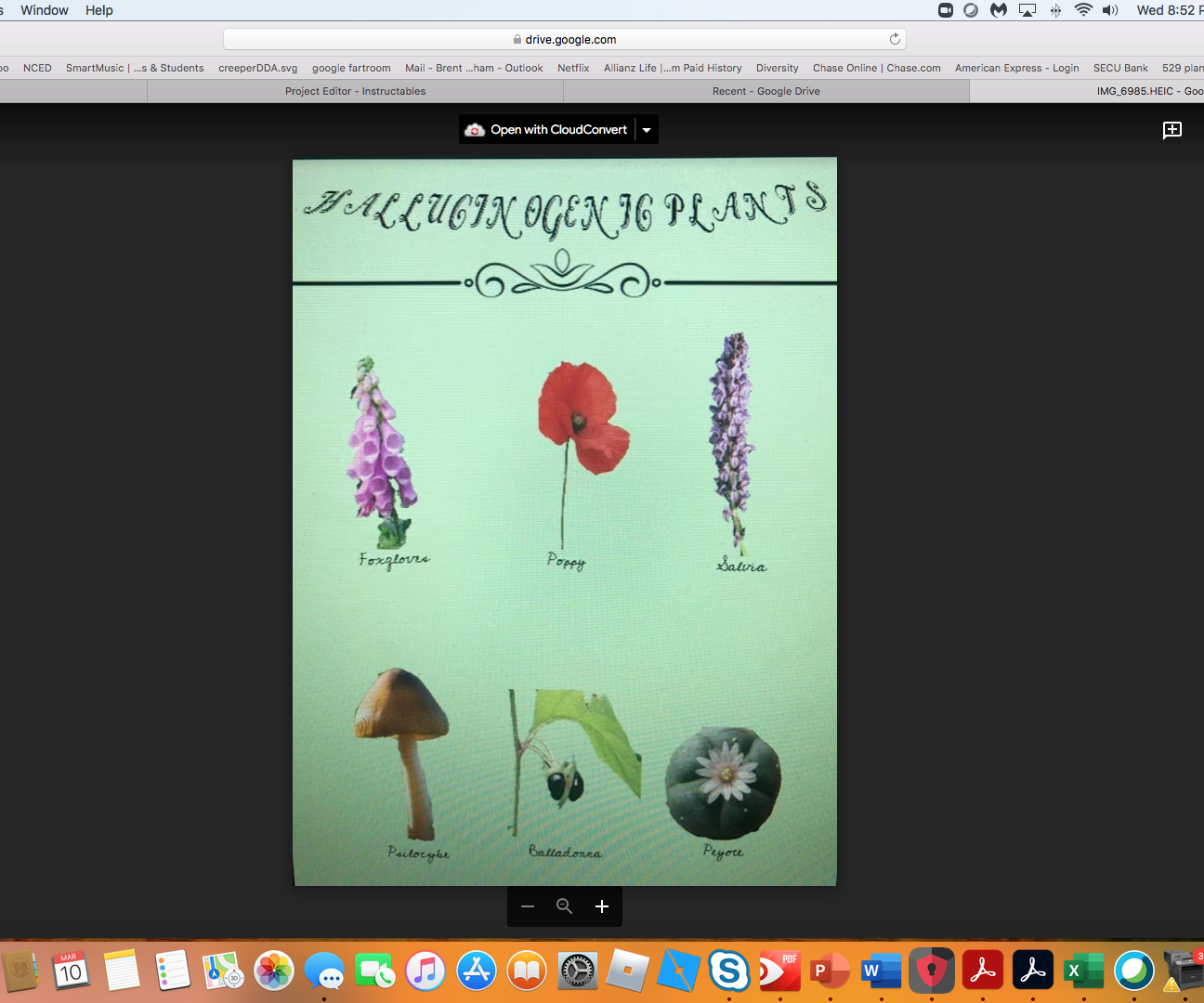 Photopea Tutorial Project: Hallucinogenic Plant Poster