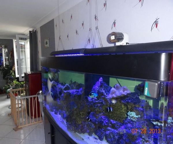 How to Make an Automatic Fish Feeder