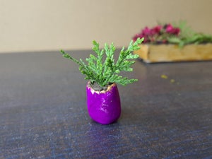 Filling and Placement of Pots.