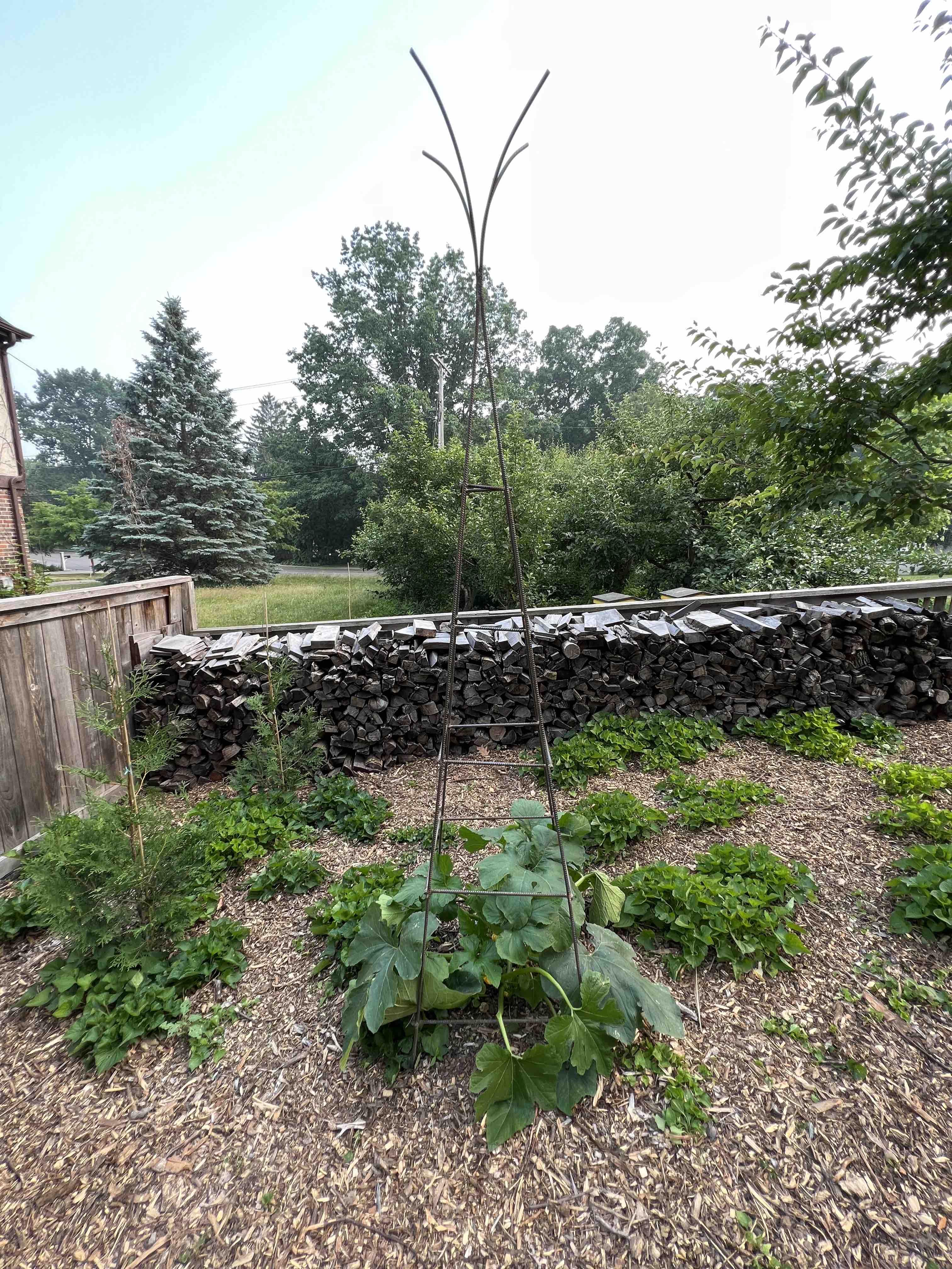 Garden Obelisk/Trellis Made From Rebar 9 Steps (with Pictures