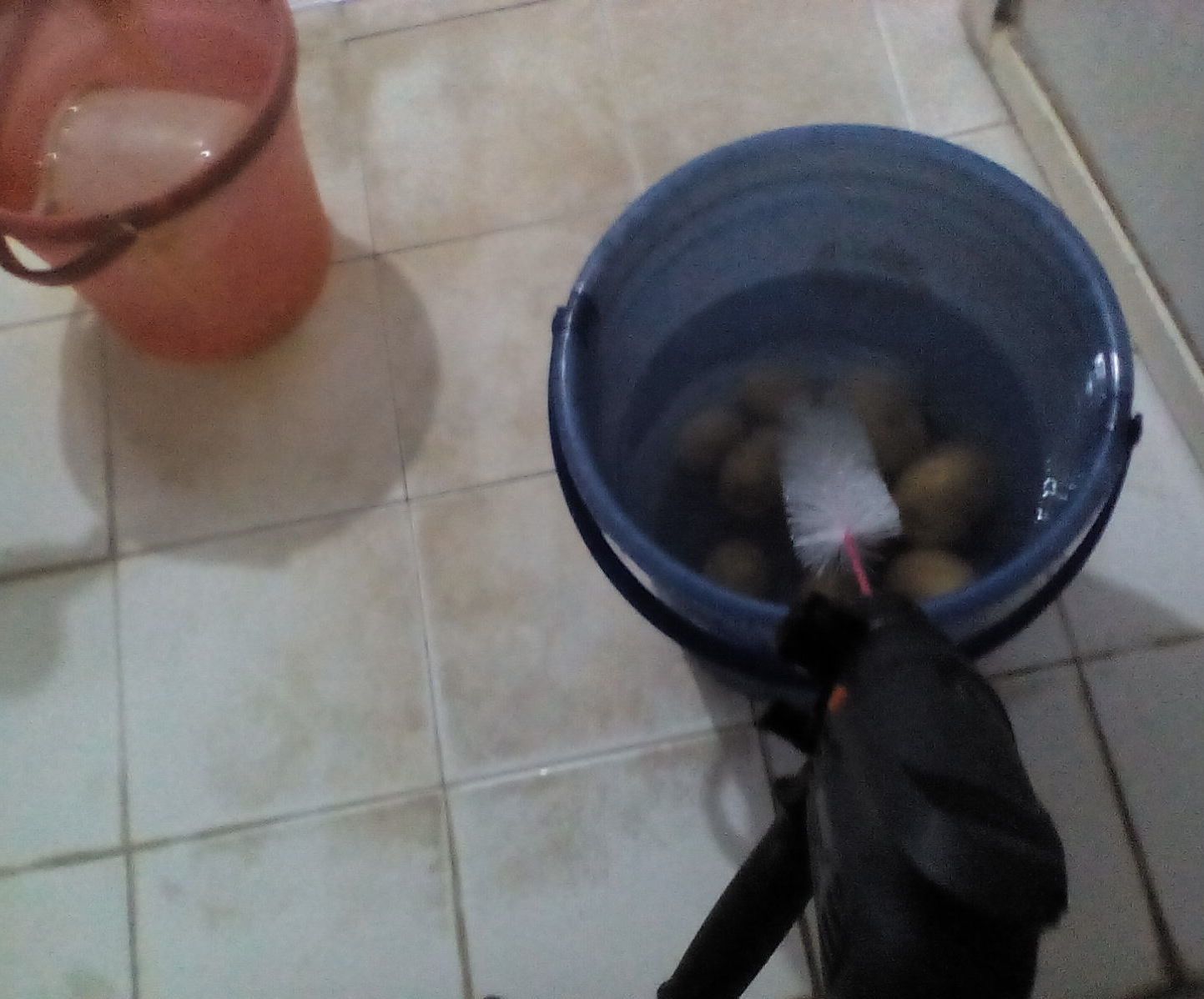 Peeling Large Scale Potatoes Within 5minutes Really