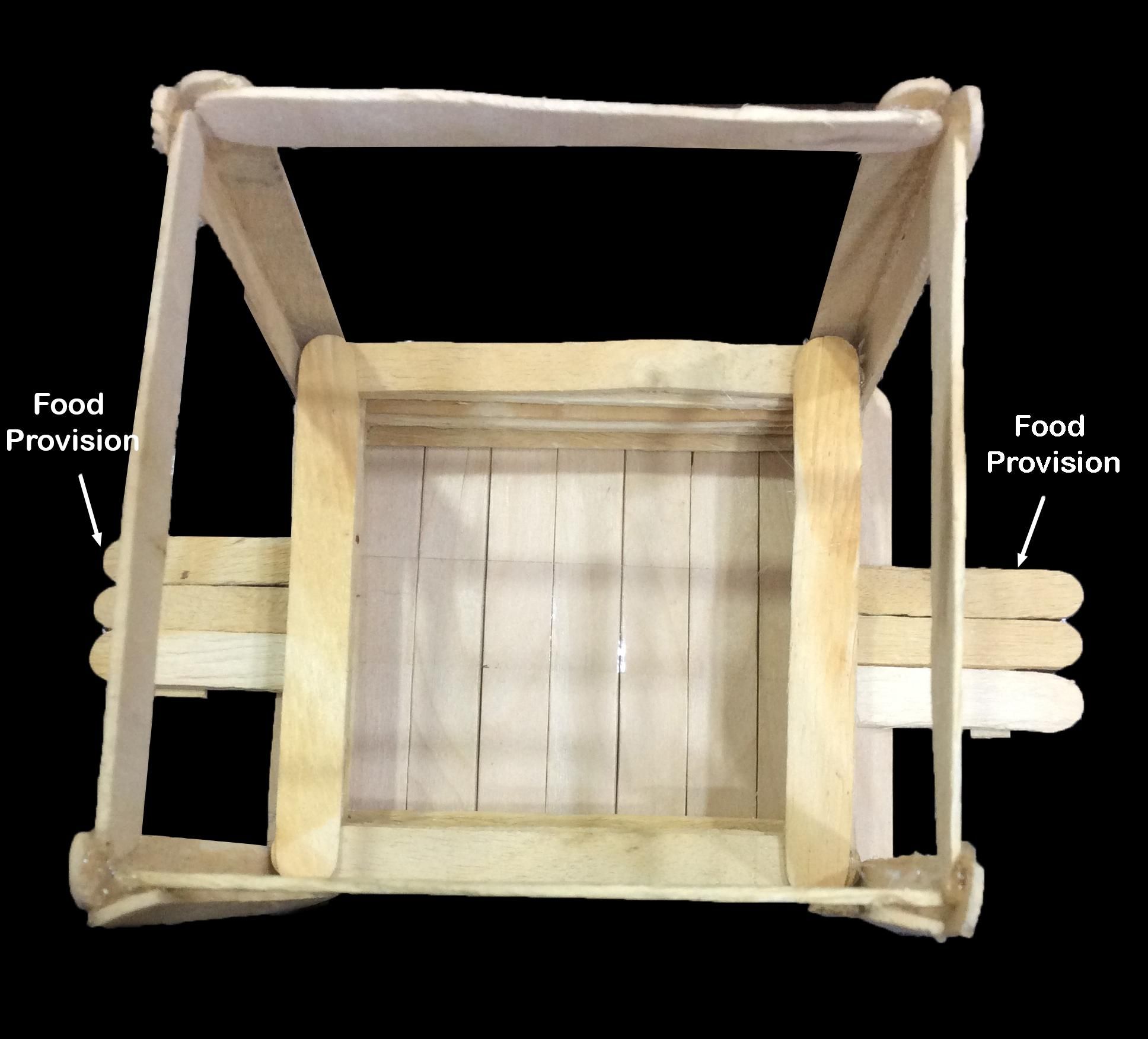 DIY Popsicle Stick BirdHouse : 3 Steps - Instructables