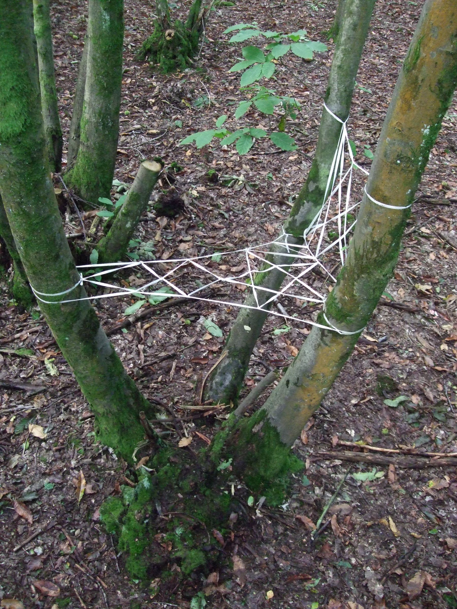 cord tree-seat