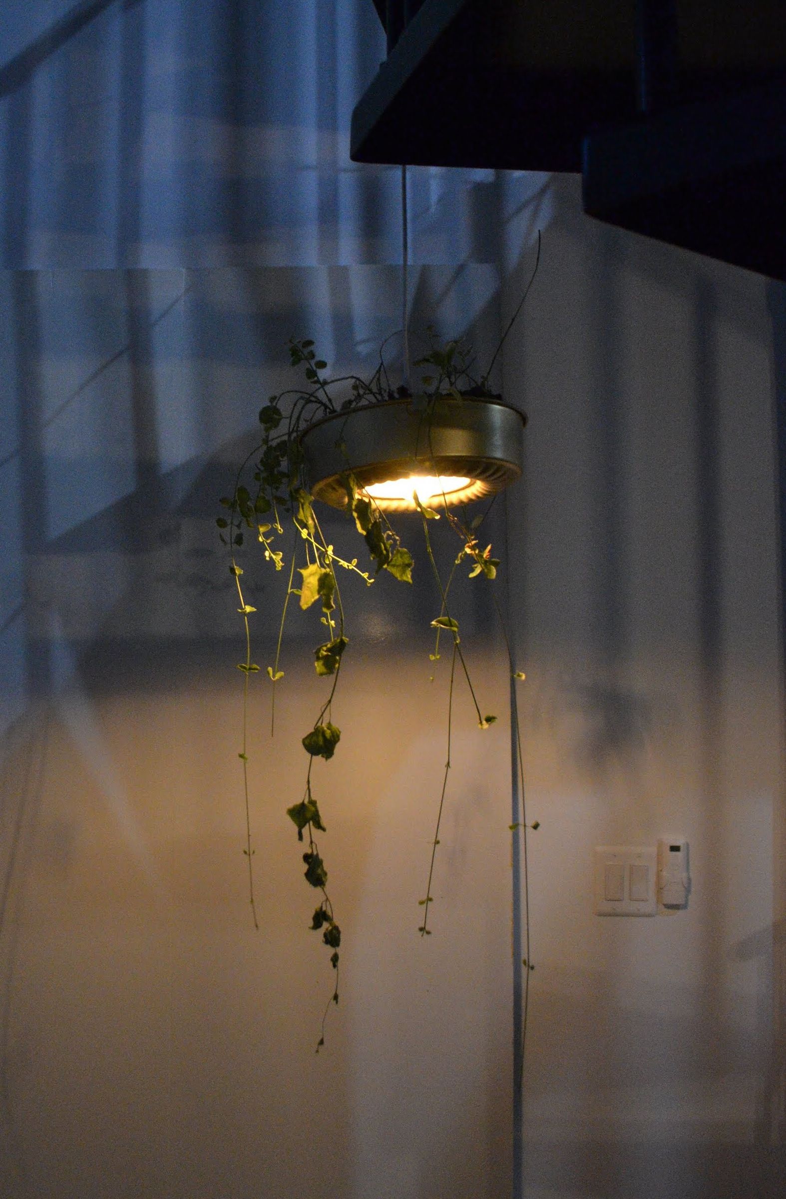 Bundt Cake to Hanging Lamp! 11 Steps (with Pictures) Instructables