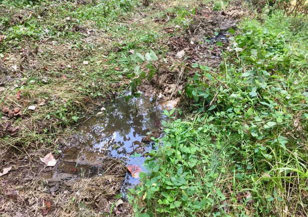 Spring Seep Pool Spring Water Collection System : 16 Steps (with Pictures) - Instructables