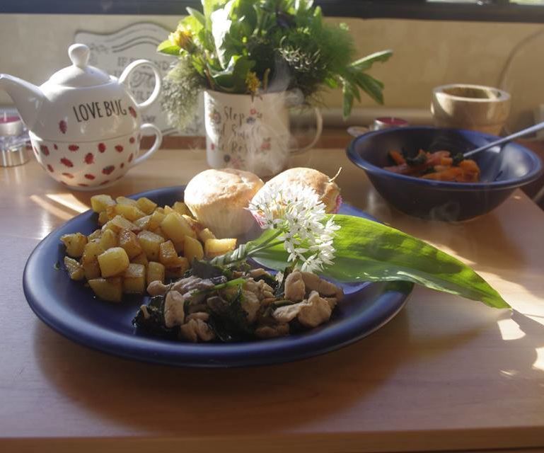 Wild and ( Almost) Free