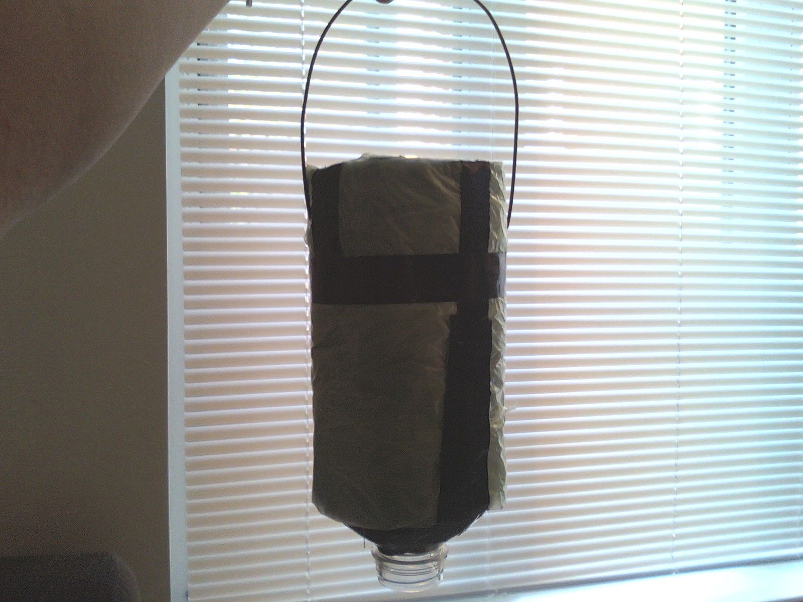 Tomato Grower in a Gatorade Bottle