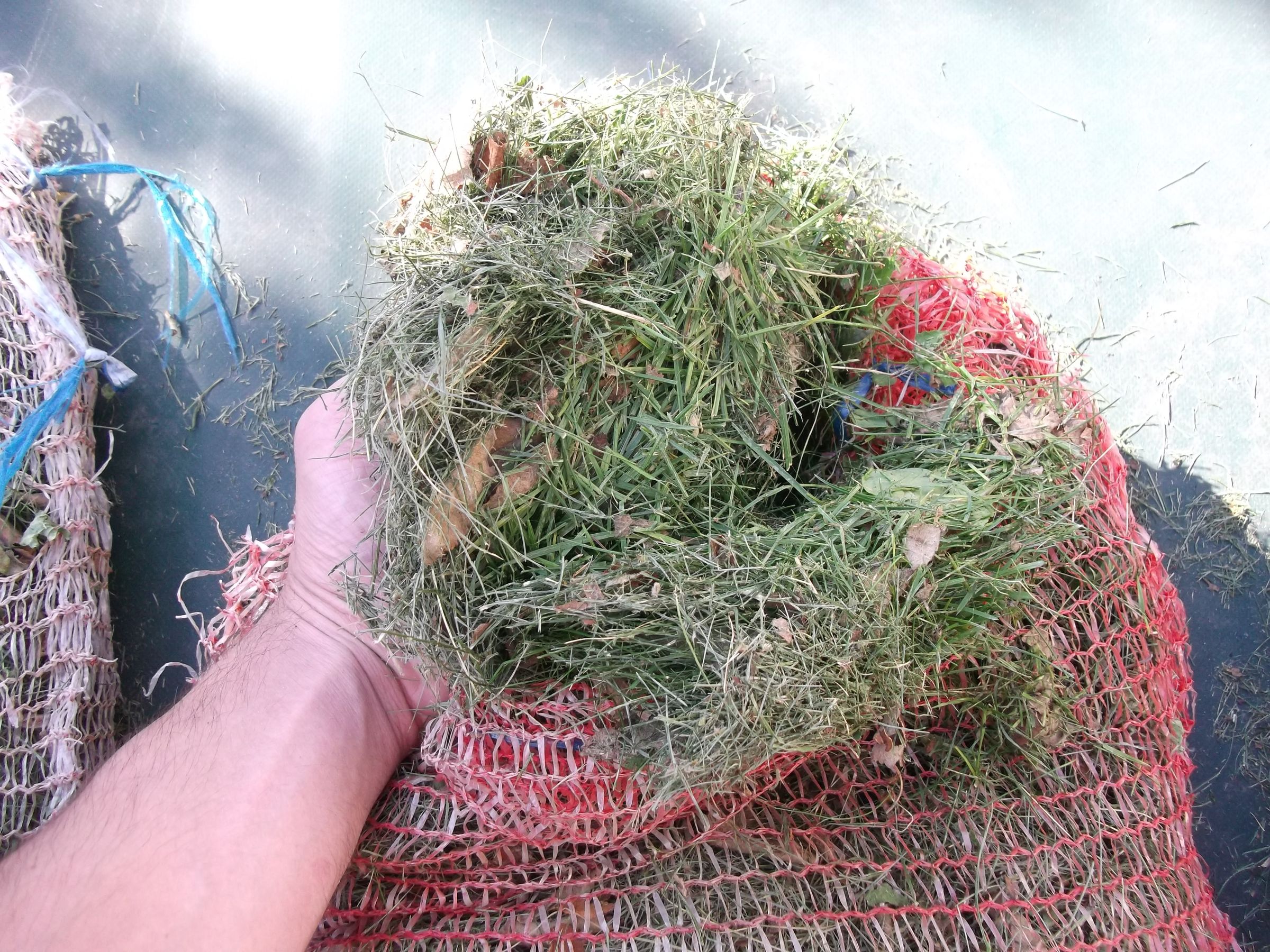 Paper + Grass Clippings Fuel Briquettes 7 Steps (with Pictures