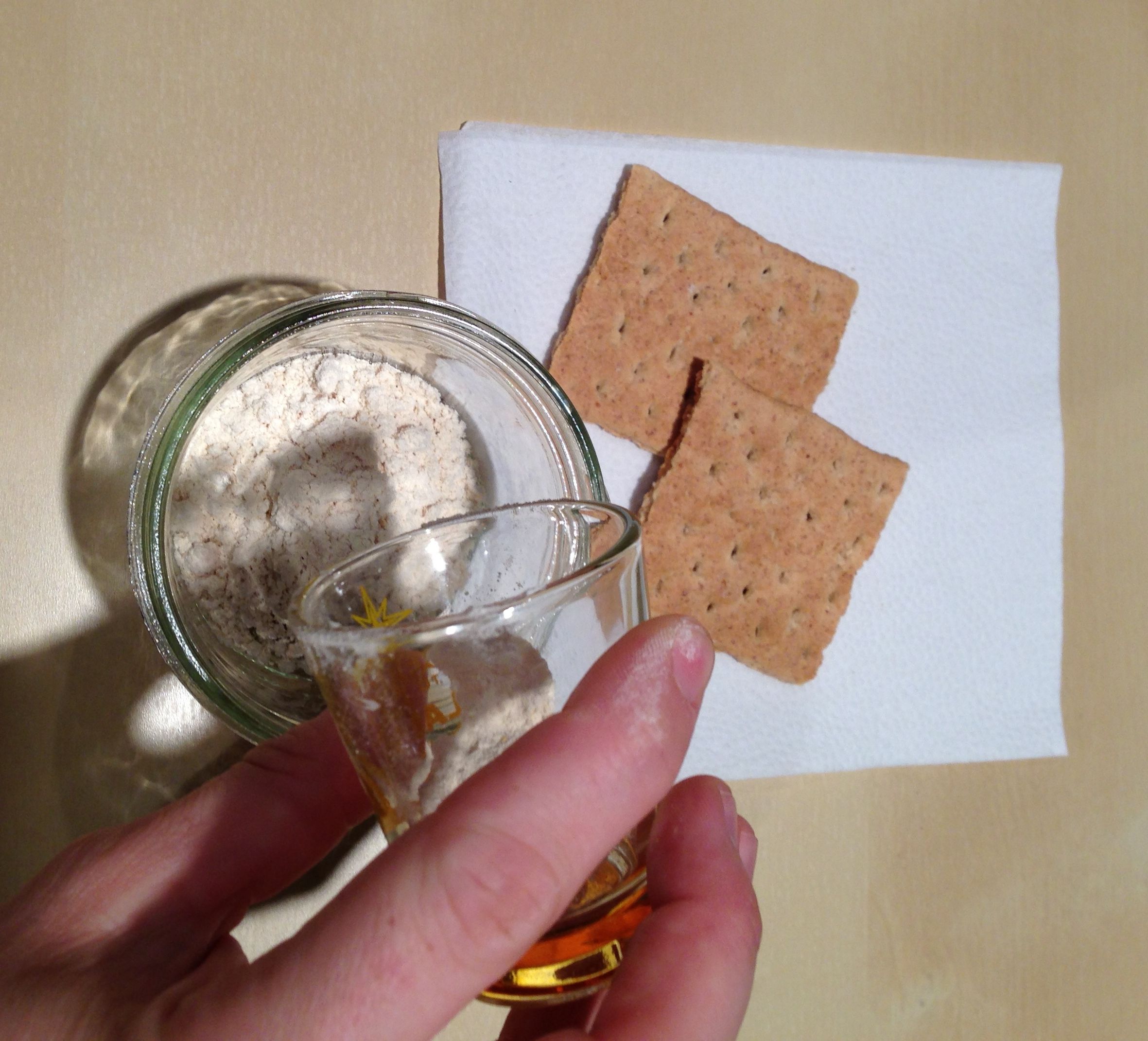 Pocket Protein Bites