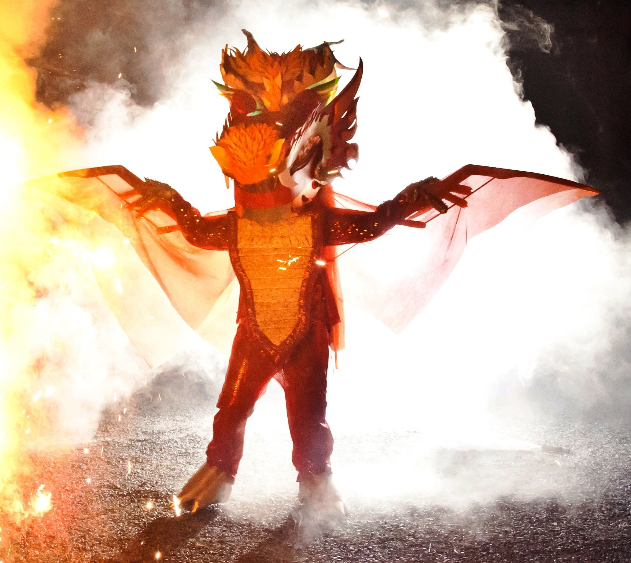Dragon Costume