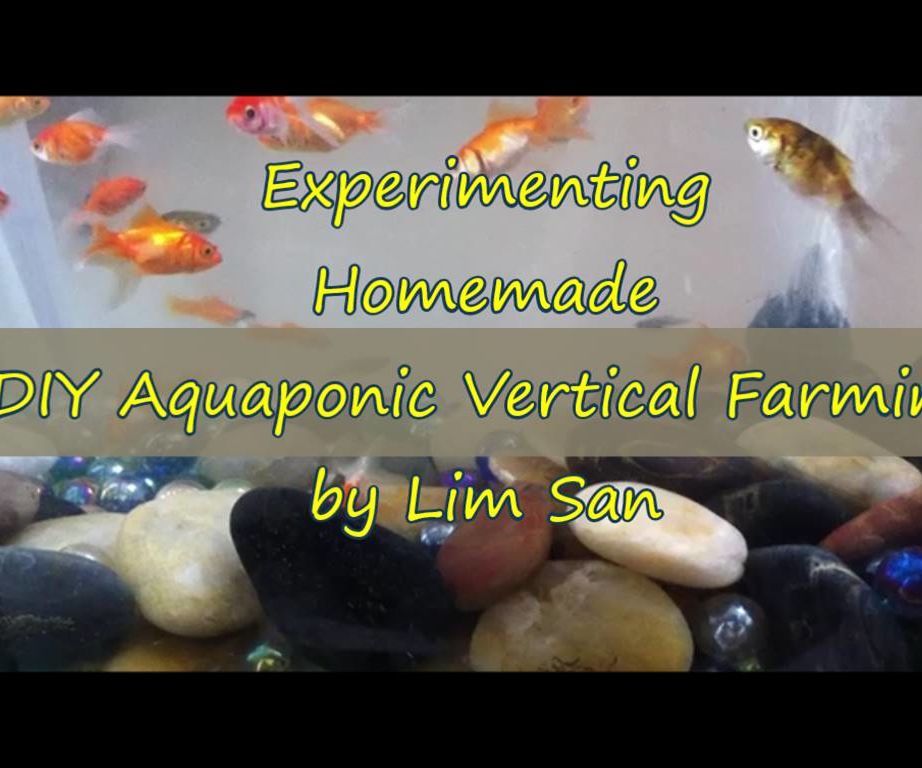 DIY Aquaponic Vertical Window Farming