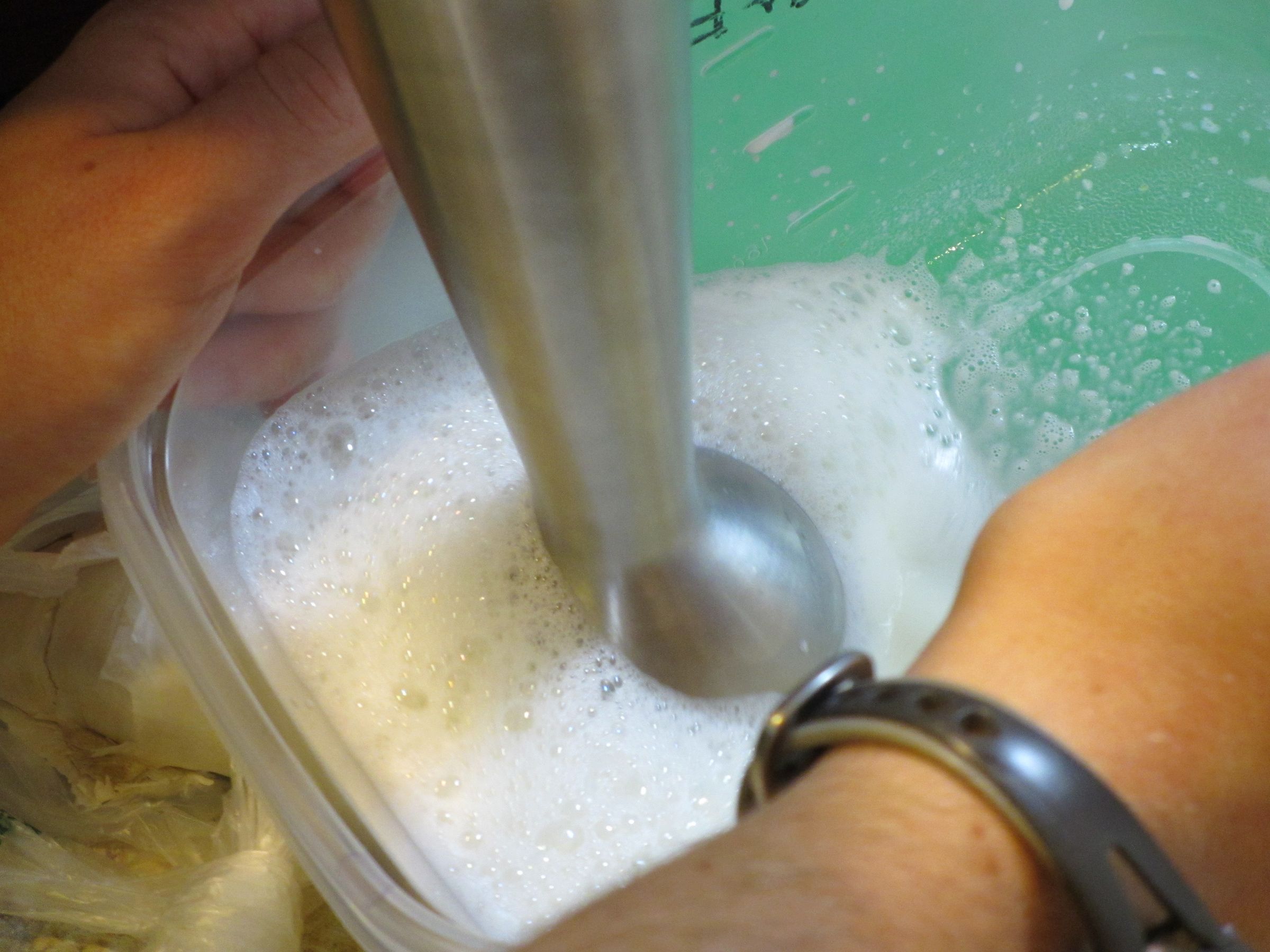 Garlic Foam 5 Steps Instructables