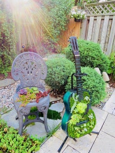 The Mature Garden