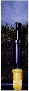 How to Install Underground Sprinklers