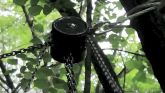 Hoist, Big Tree ... Simple Technology 