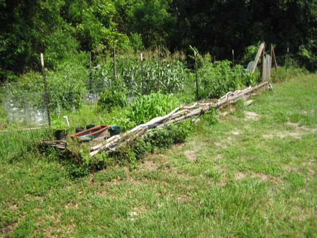 Very Low Buck and Highly Eco-Friendly Garden