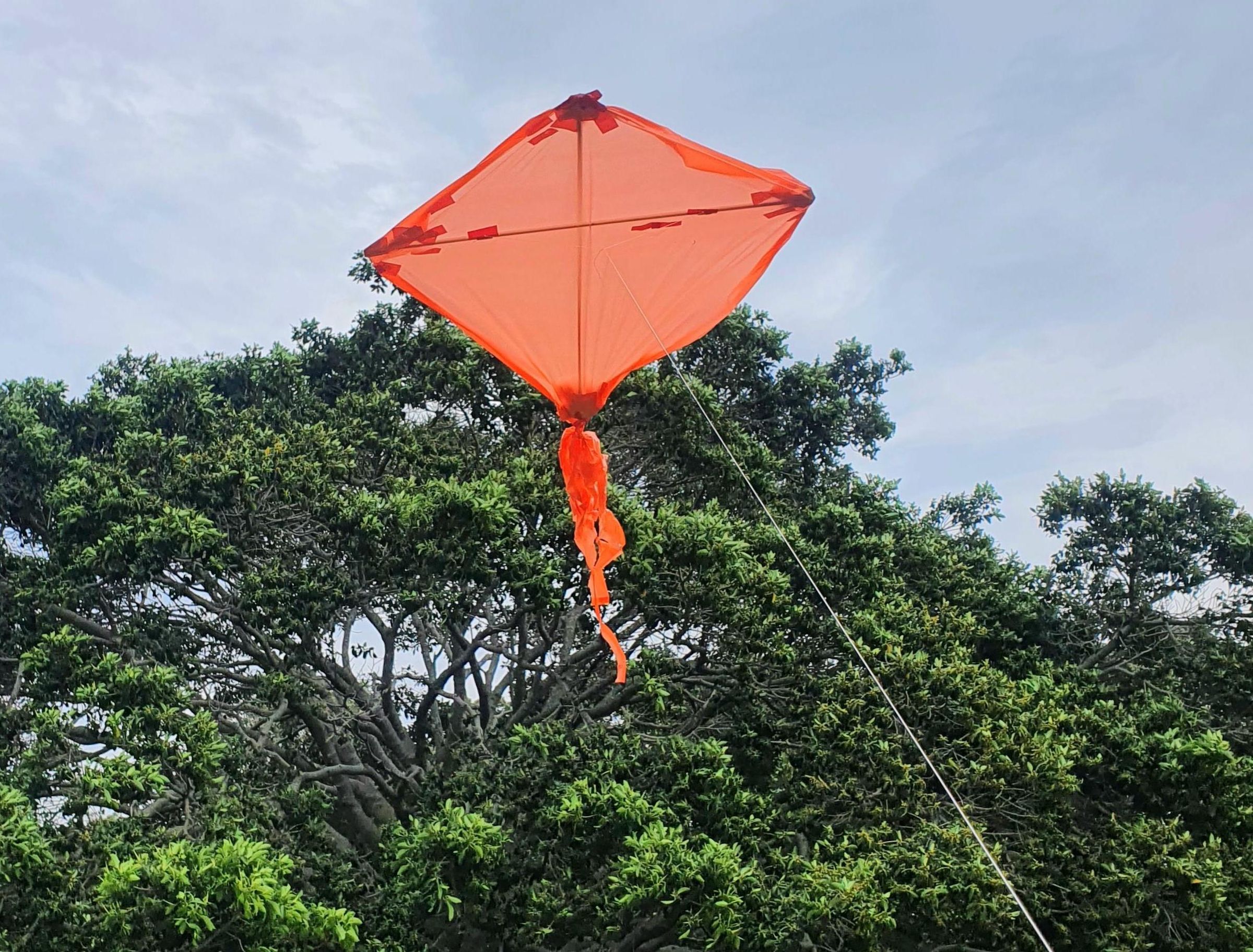 Kite From Rubbish Bag