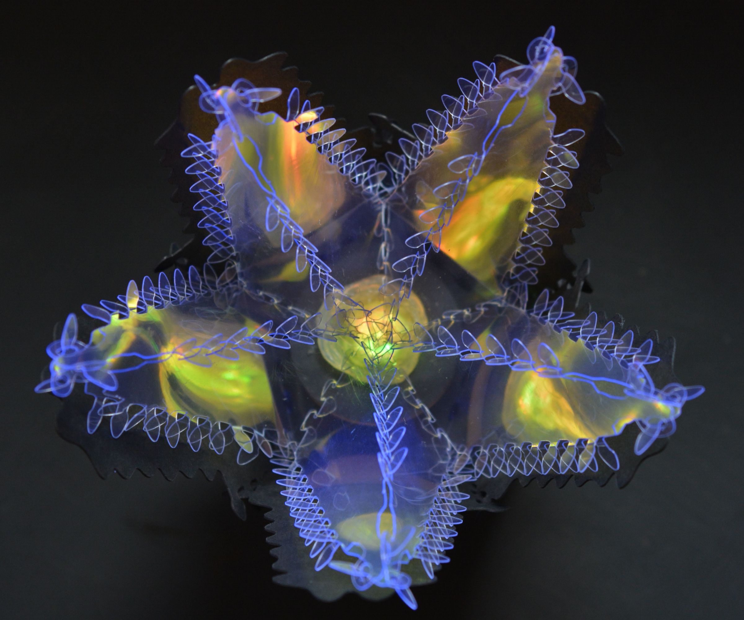 Magical Sorting Hat Star Light Cutter Project