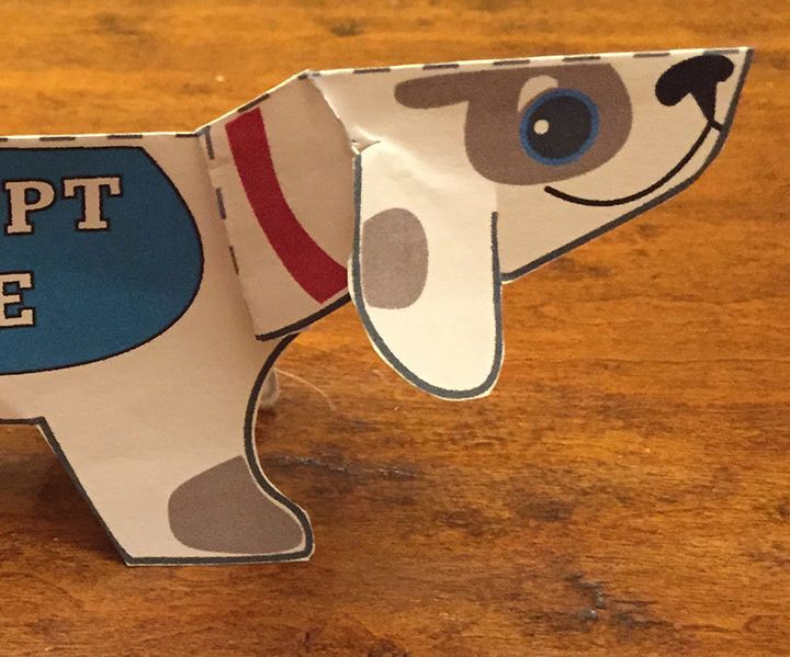 Adopt-a-Bot Wants to Go Home With You!