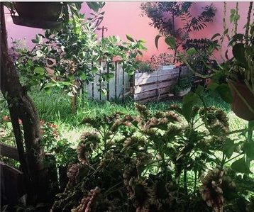  How Organic Garden in Your Garden