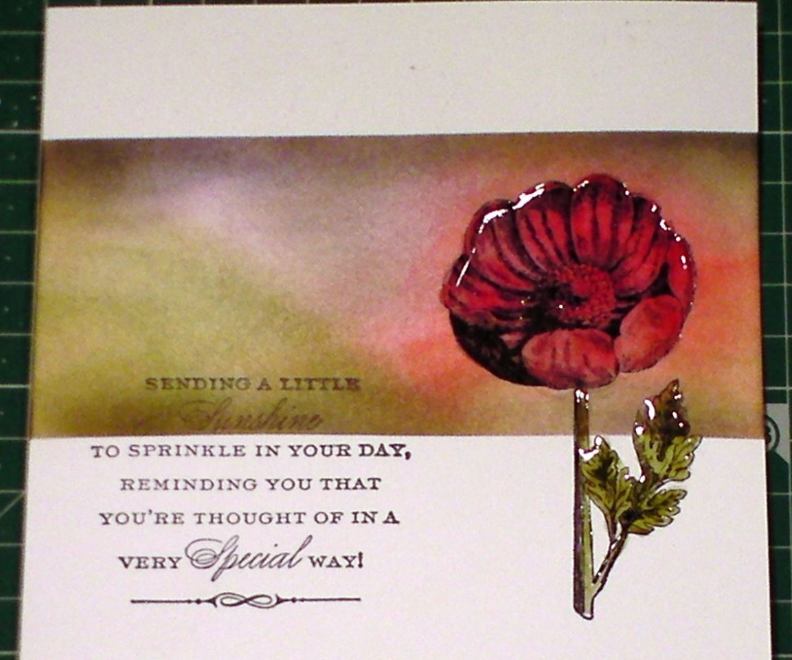 How to Ink, Blend & Stamp to Make a Poppy Card 