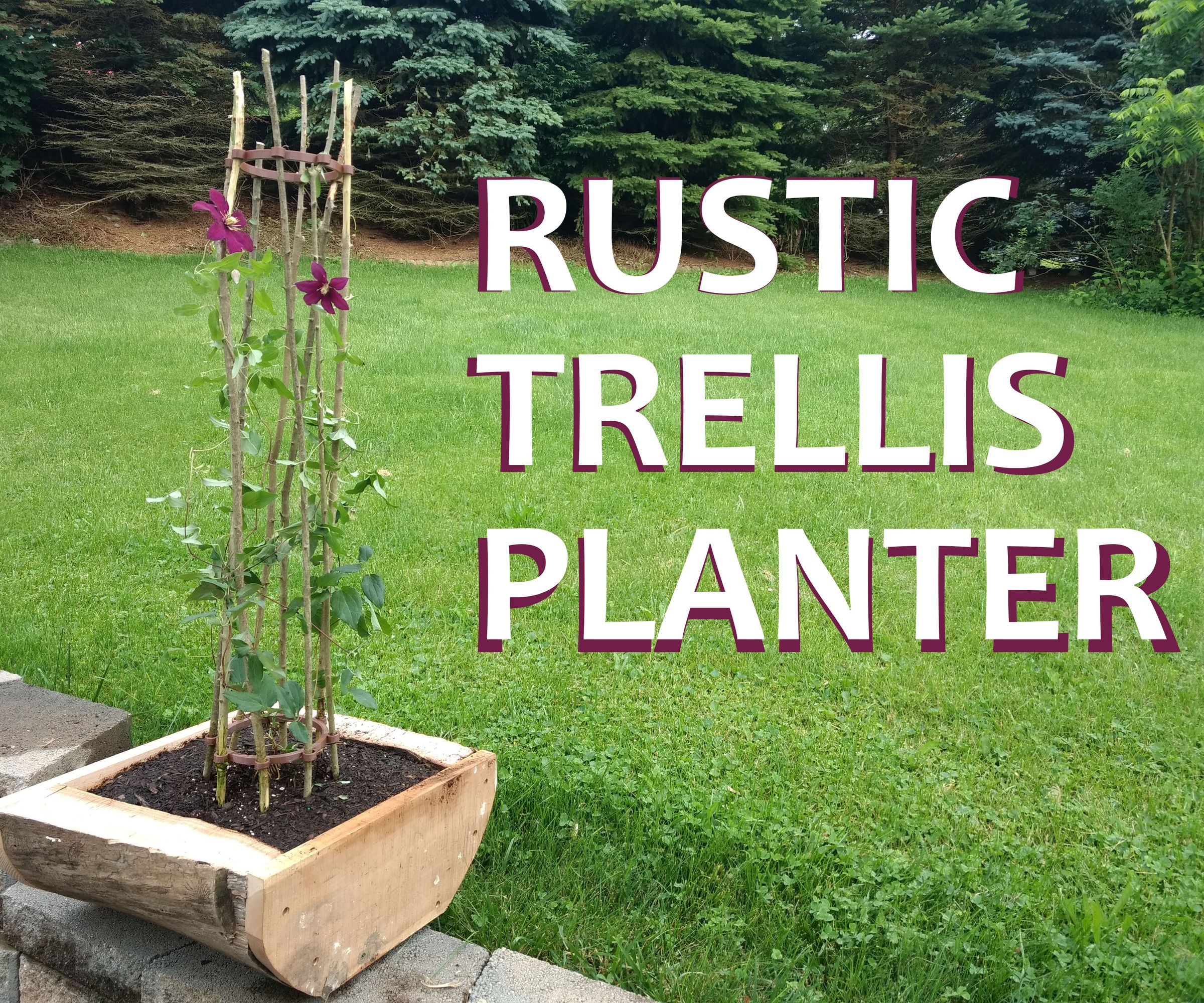 The Rustic Trellis Planter