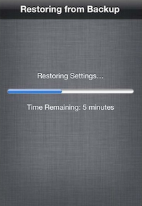 ​Method 2 Get Back SMS Messages From ICloud Backup