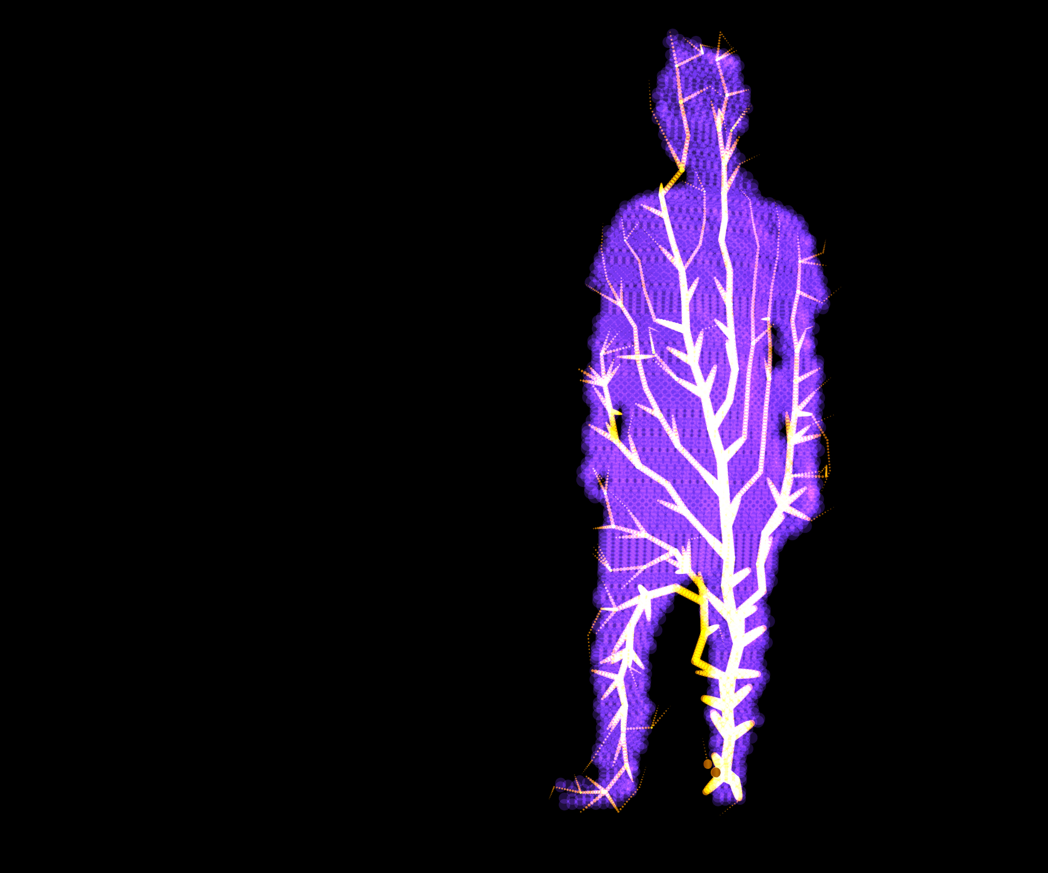 Kinetrope Design Tool