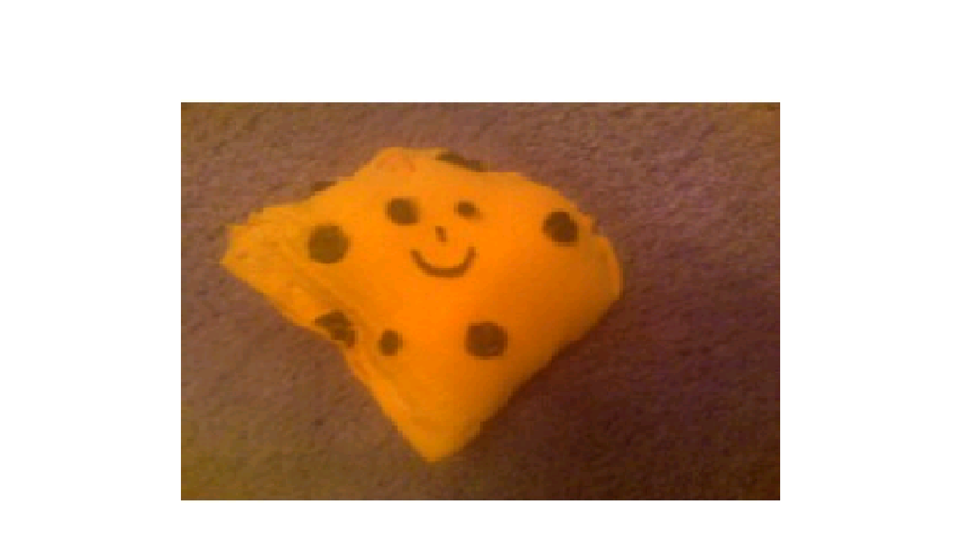 Cheese Plush Freind!