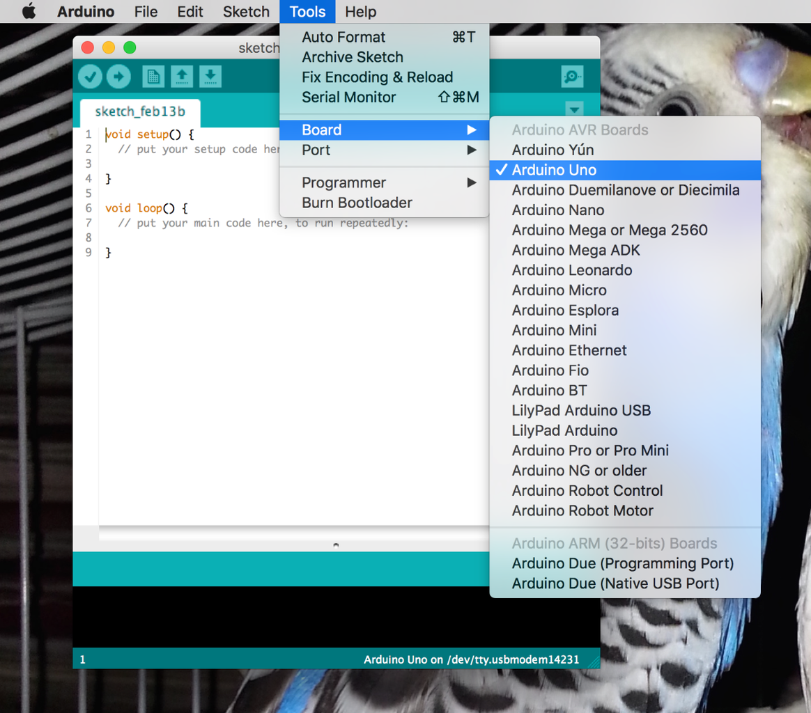 Programming Arduino With Another Arduino : 3 Steps - Instructables