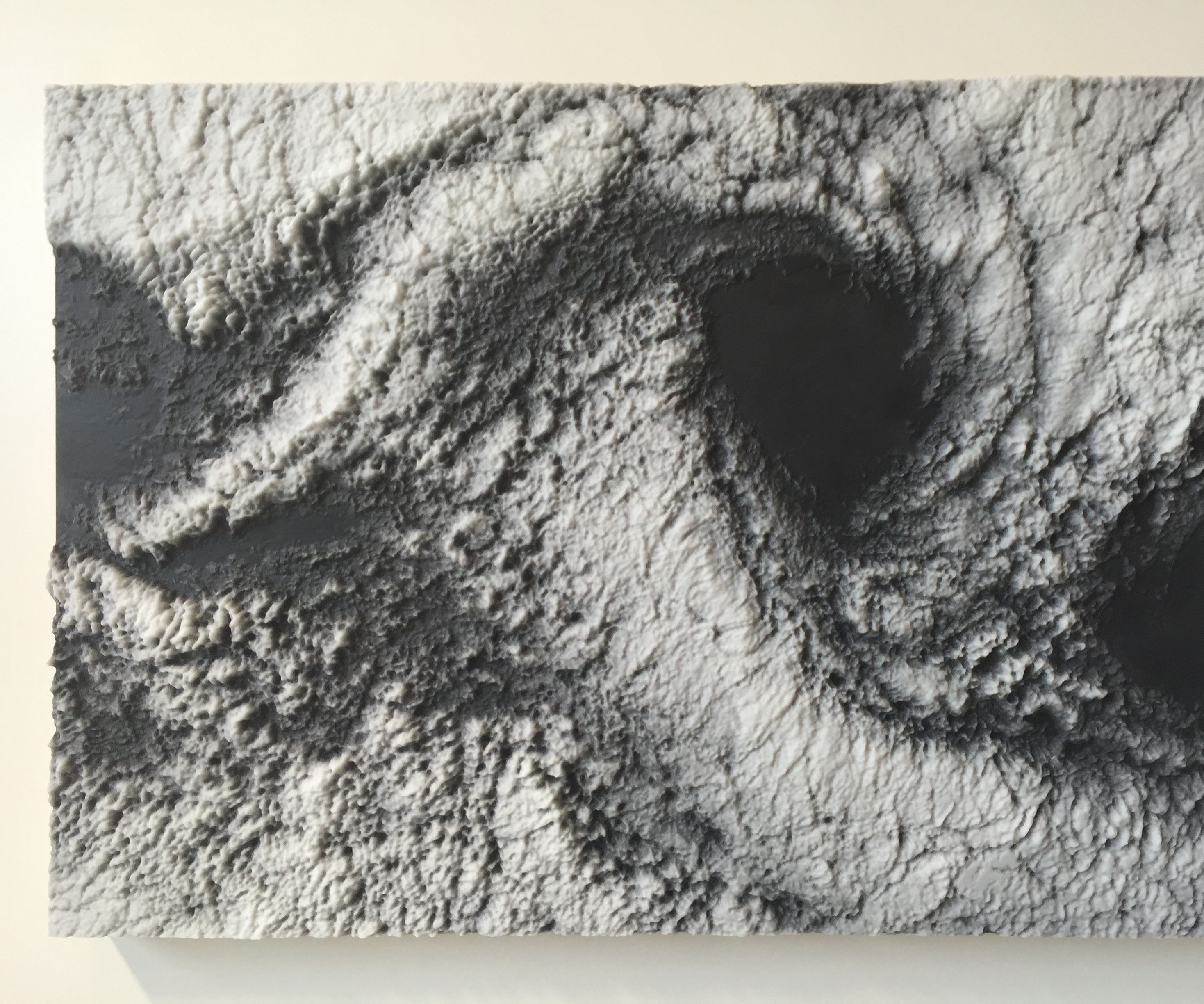 Image Relief in Resin