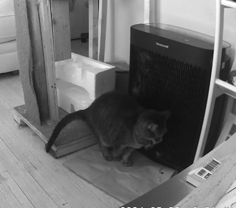 Cat Inappropriate Pooper Deterrent
