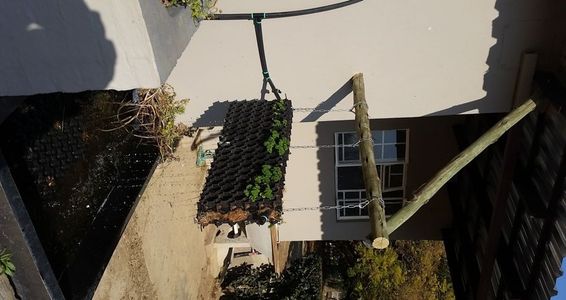 Planting the Hanging Waterfall Garden