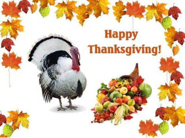 How to Create Flip Book With Thanksgiving Photos?
