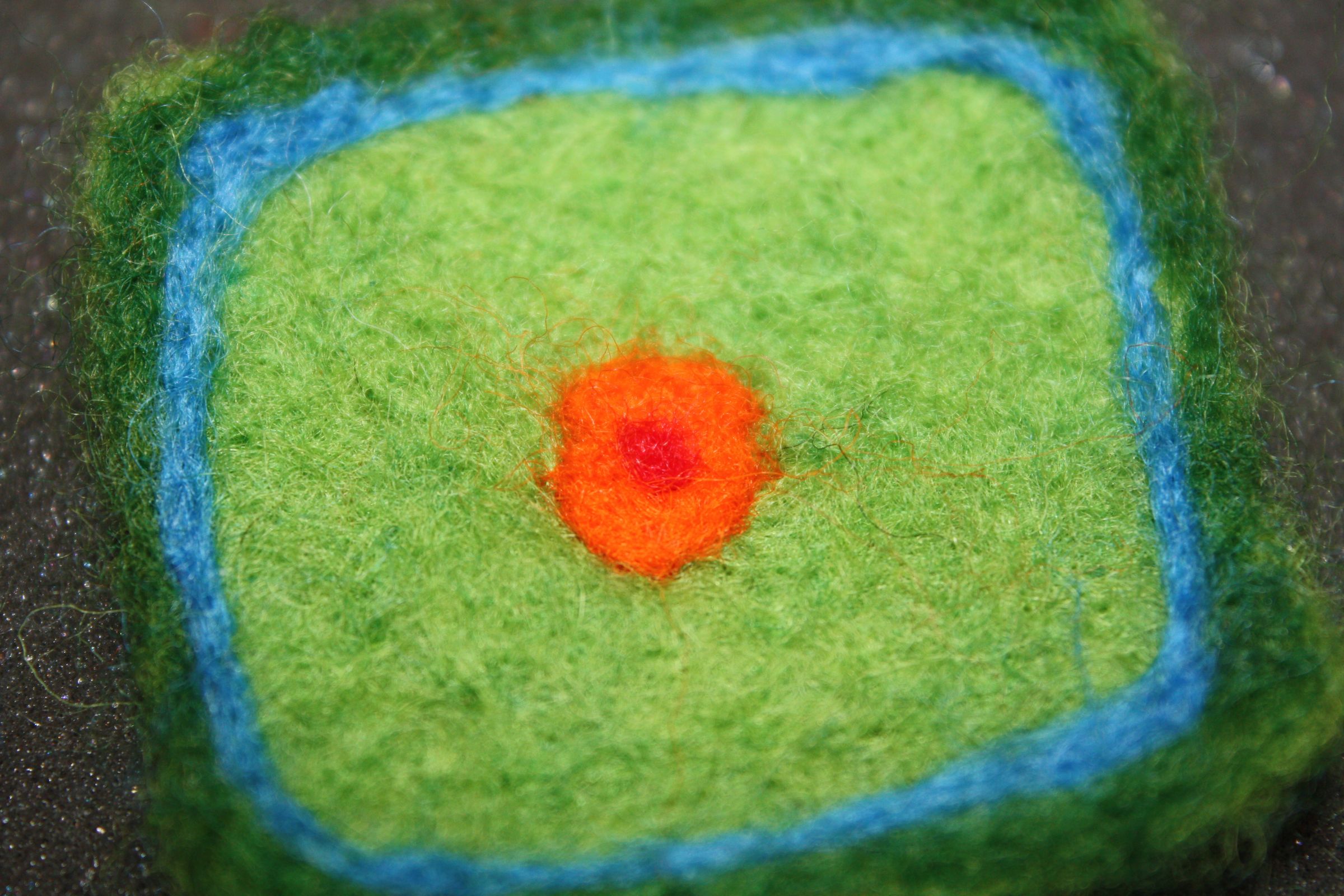 Needle Felted Plant Cell 11 Steps (with Pictures) Instructables