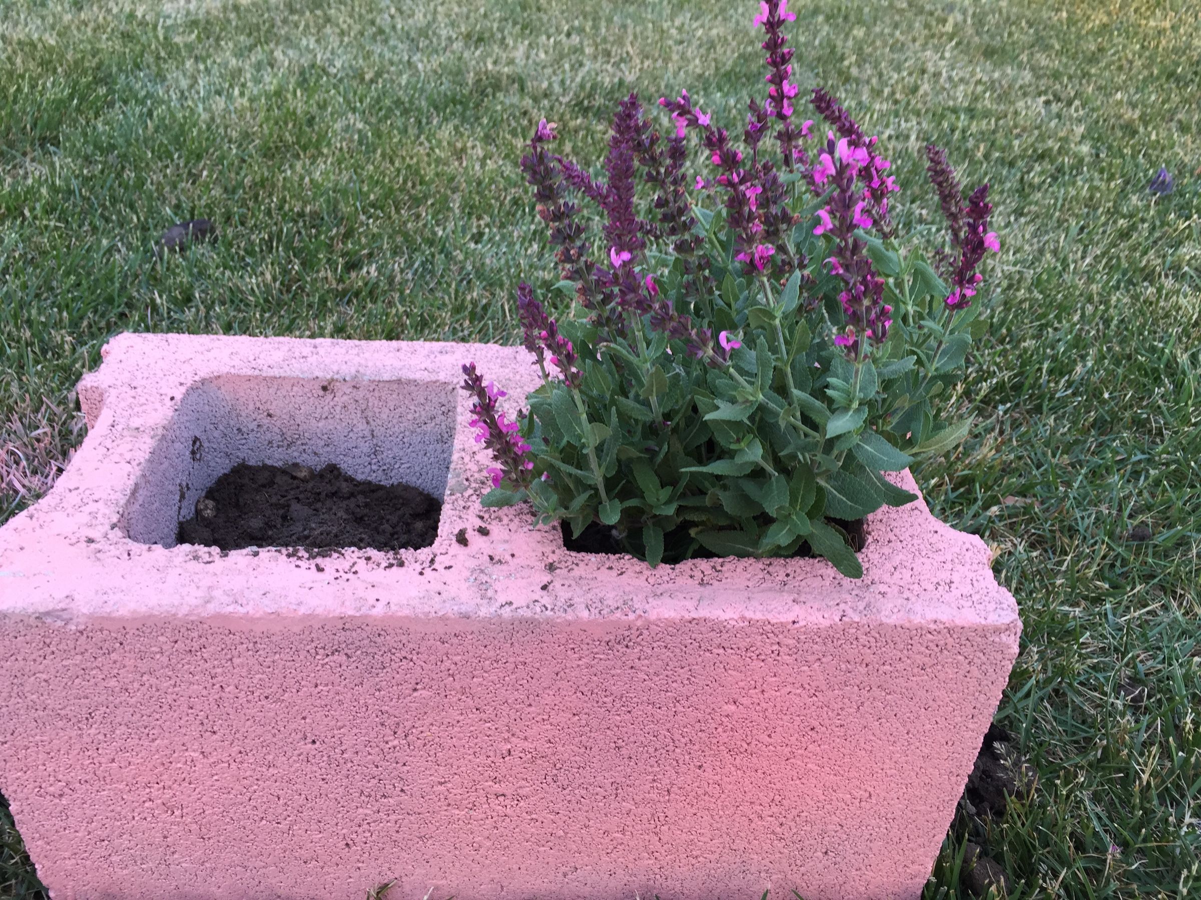 Cement Block Planter 4 Steps Instructables