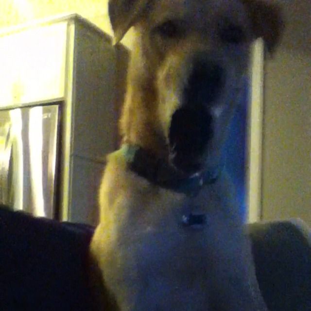 keep calm and eat donuts