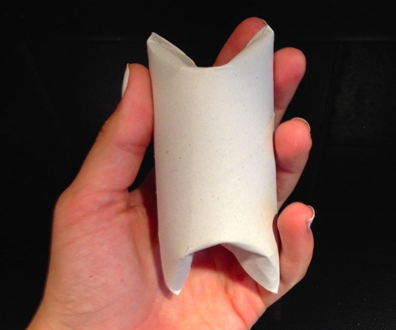 DIY Treat Dog Puzzle