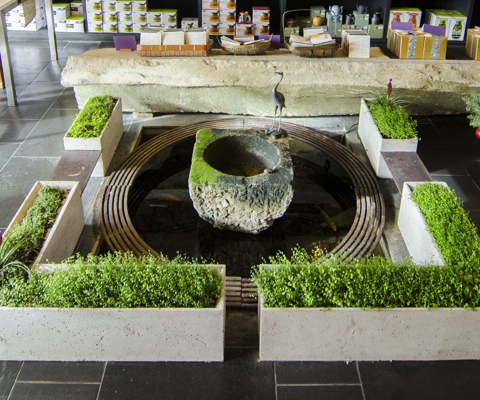 ShapeCrete :: Hypertufa / Concrete Planters for Teance Tea Shop