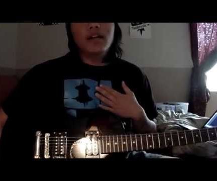 How to Play an Easy Guitar Solo ( Animal Instincts by the Cranberries Tablatures)