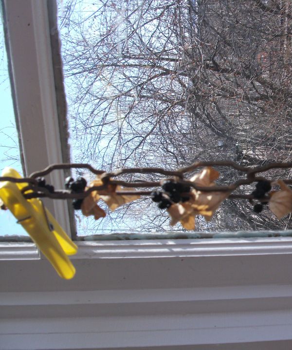 Pick Your Own Laxative!