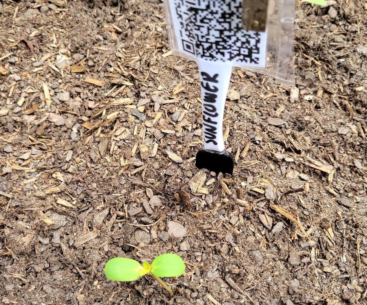 QR Code Plant Marker 