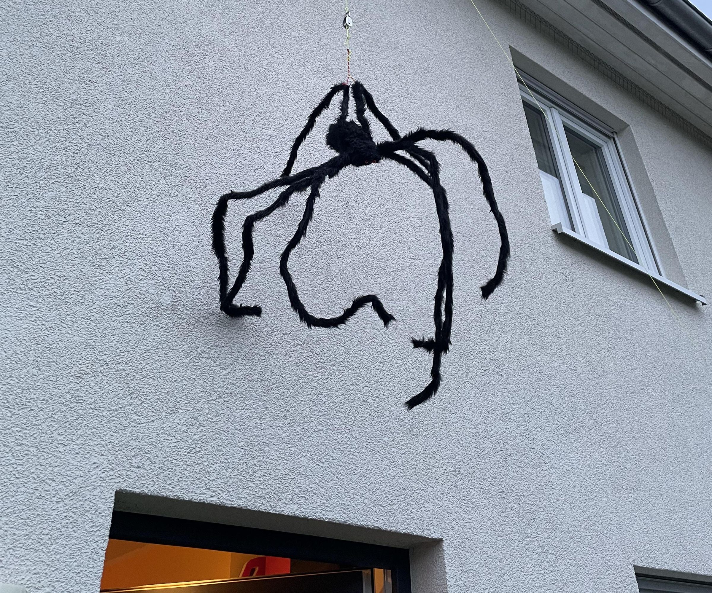 Automatic Halloween Spider Drop