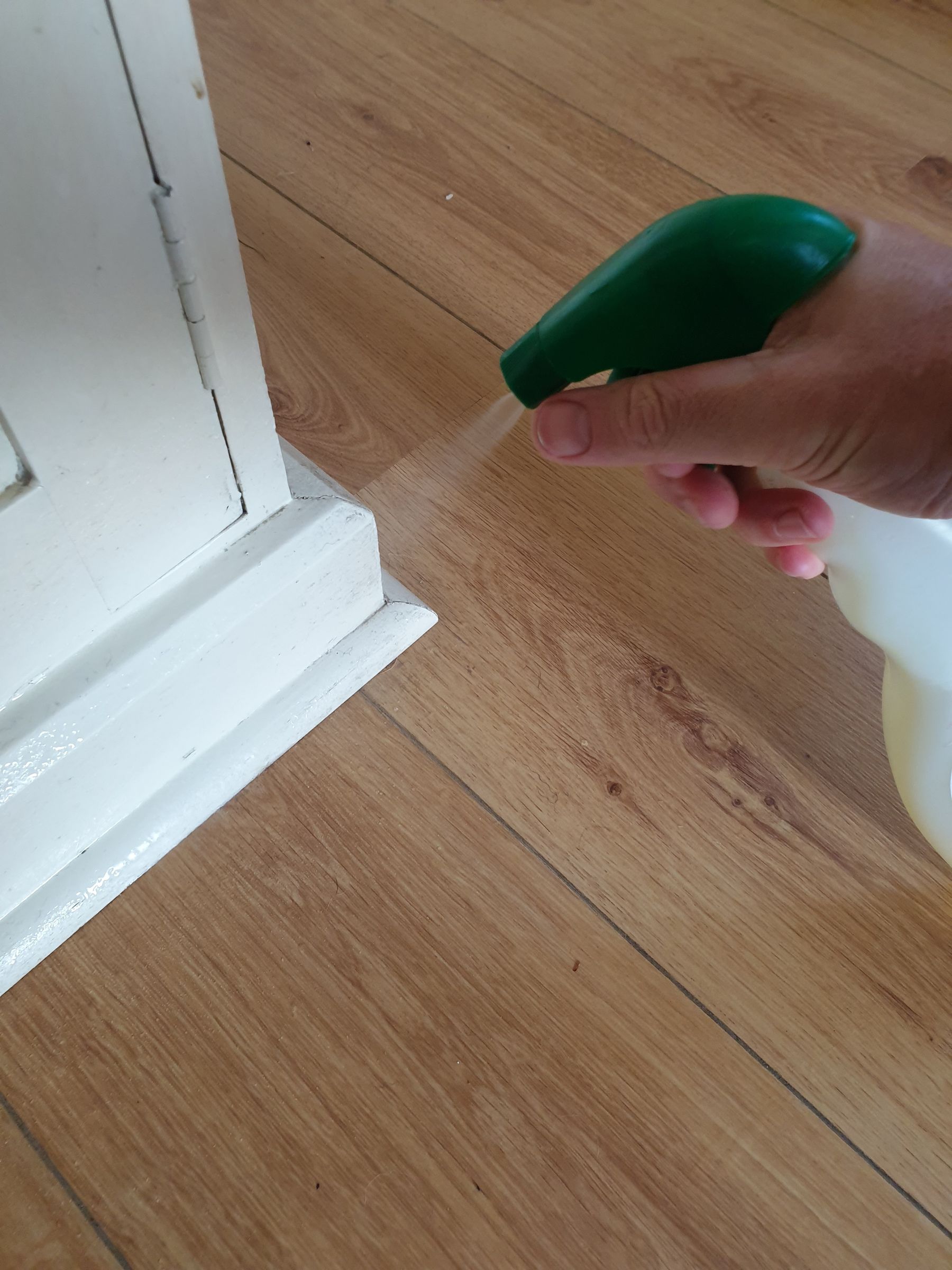 How to Stop a Puppy Chewing Wood and Cables 3 Steps Instructables