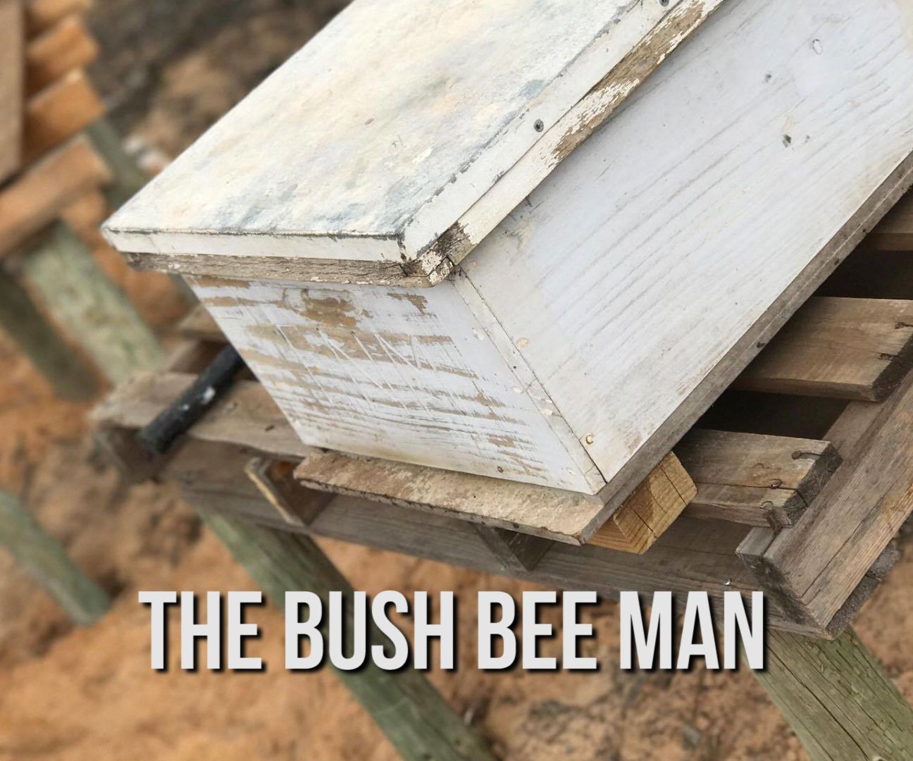 How to Build a Bee Hive Stand on the Cheap 