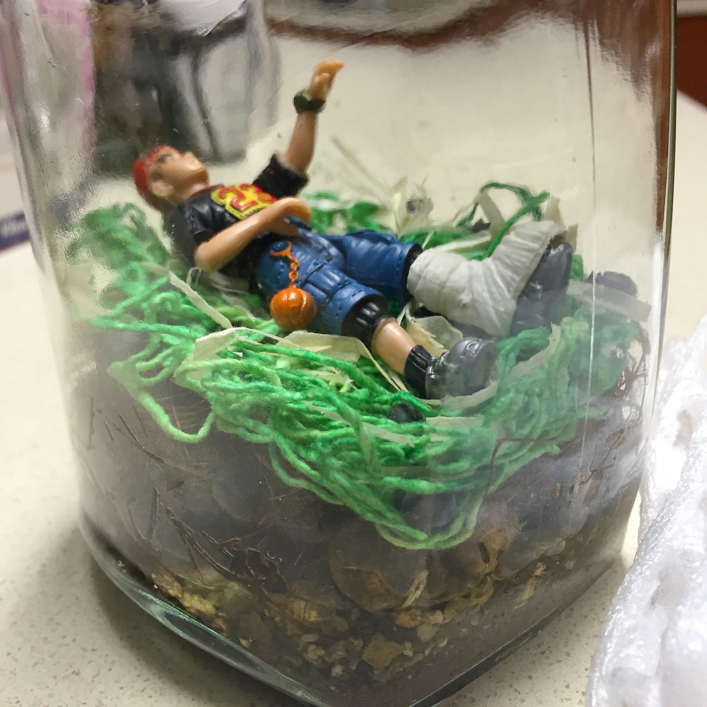 Garden In A Bottle Display