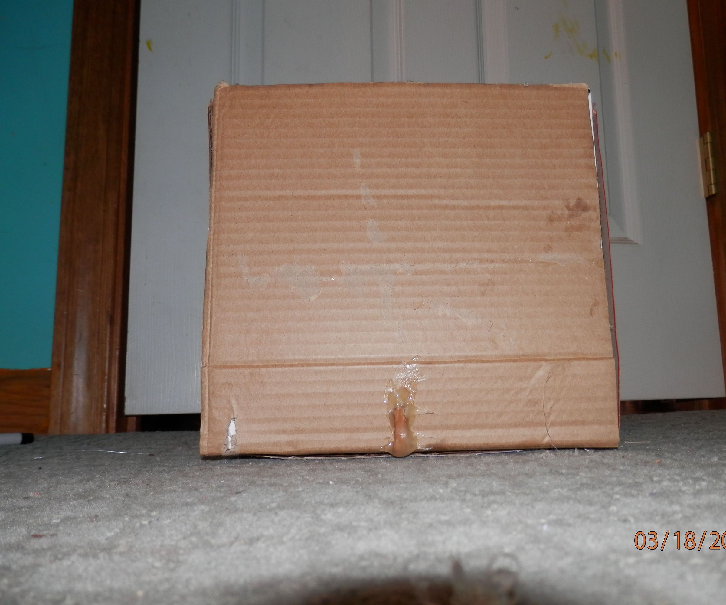 Hiding Place Puzzle Box