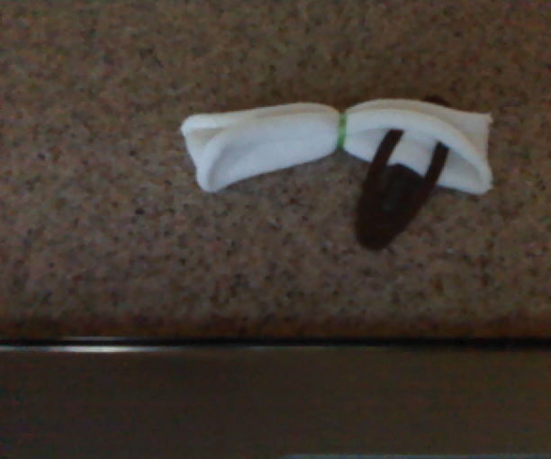 Bow Made Out of a Sock!