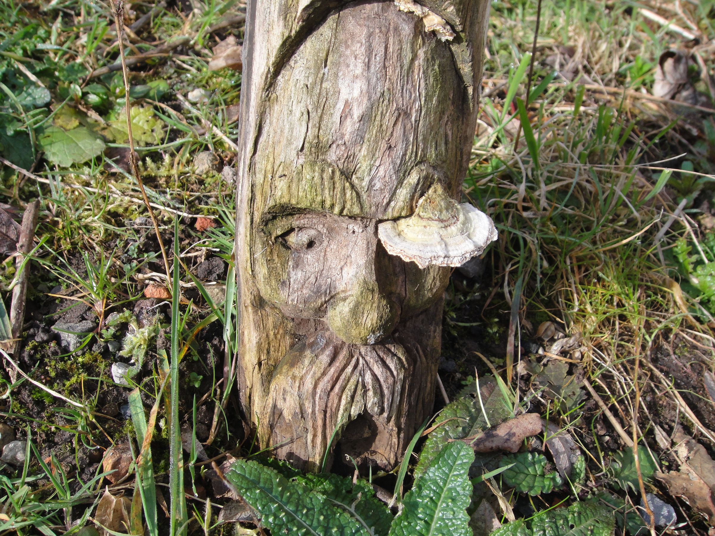 Weathered Wood Spirits